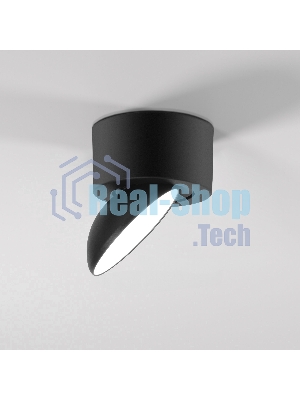 25053/LED / светильник потолочный светодиодный / черный