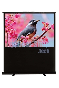 Экран Cactus 90x120 см FloorCompactExpert CS-PSFLCE-120X90 4:3 напольный рулонный