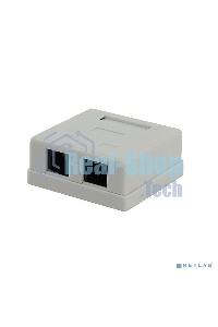 Розетка компьютерная NA-TA/1 RJ45+RJ11 кат.5e UTP внешняя 2 порта, 110&Krone