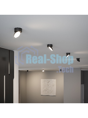 25053/LED / светильник потолочный светодиодный / черный