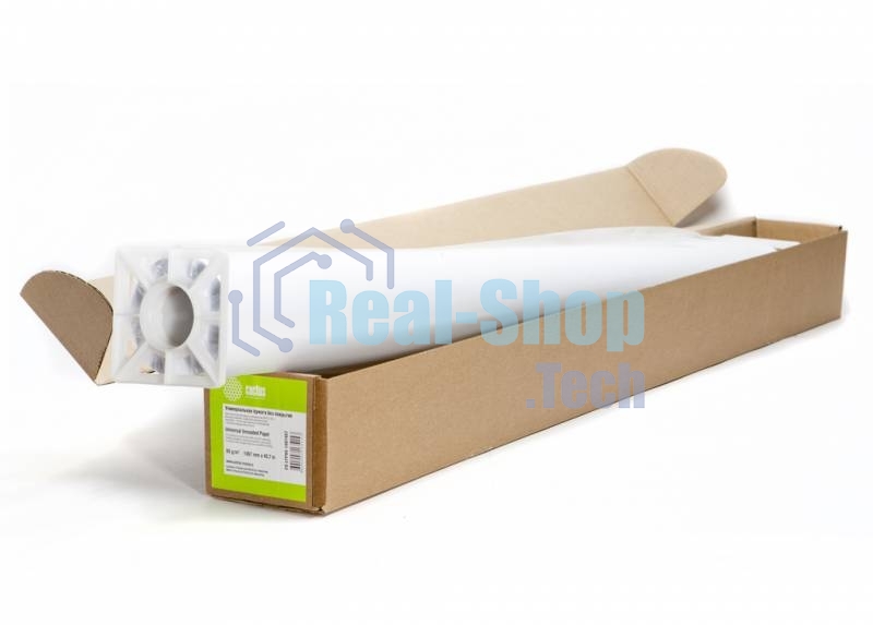 Бумага Cactus CS-LFP80-1067457 42