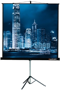 Экран на штативе Lumien Master View 244x244 см Matte White FiberGlass (LMV-100105)