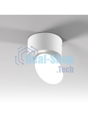 25053/LED / светильник потолочный светодиодный / белый