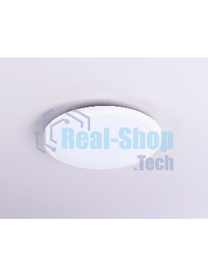Потолочный светодиодный светильник Ambrella light FZ1230 WH белый IP44 22W 6400К D260*55 (Без ПДУ)