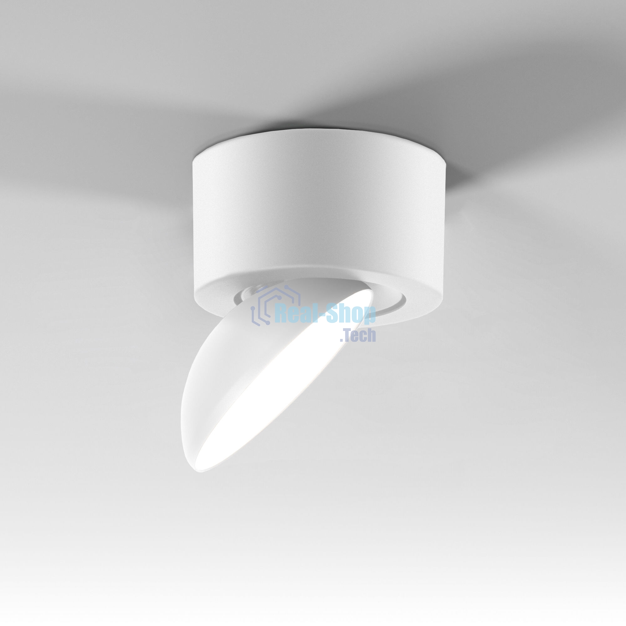 25053/LED / светильник потолочный светодиодный / белый