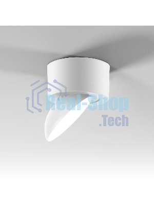 25053/LED / светильник потолочный светодиодный / белый