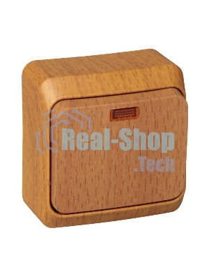 Выключатель 1-кл. ОП Этюд Дача 10А IP20 с индик. бук SchE BA10-005T