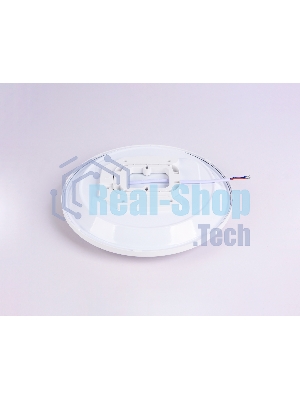 Потолочный светодиодный светильник Ambrella light FZ1230 WH белый IP44 22W 6400К D260*55 (Без ПДУ)
