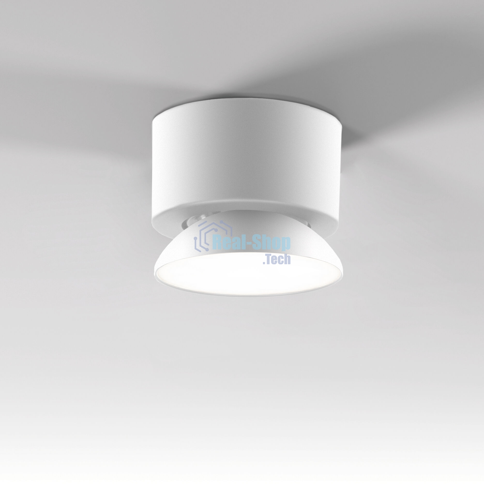 25053/LED / светильник потолочный светодиодный / белый