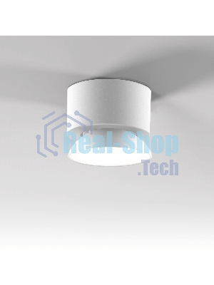 25053/LED / светильник потолочный светодиодный / белый