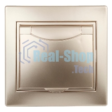 Розетка 2P+E Schuko с крышкой, 16А-250В, IP20, СУ, Plano, шампань | Б0030063 | Intro