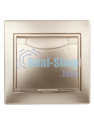 Розетка 2P+E Schuko с крышкой, 16А-250В, IP20, СУ, Plano, шампань | Б0030063 | Intro