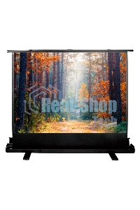 Экран Cactus 135x180 см FloorExpert CS-PSFLE-180X135 4:3 напольный рулонный