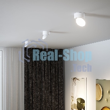 25053/LED / светильник потолочный светодиодный / белый