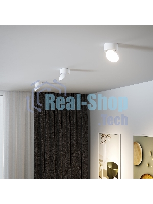 25053/LED / светильник потолочный светодиодный / белый