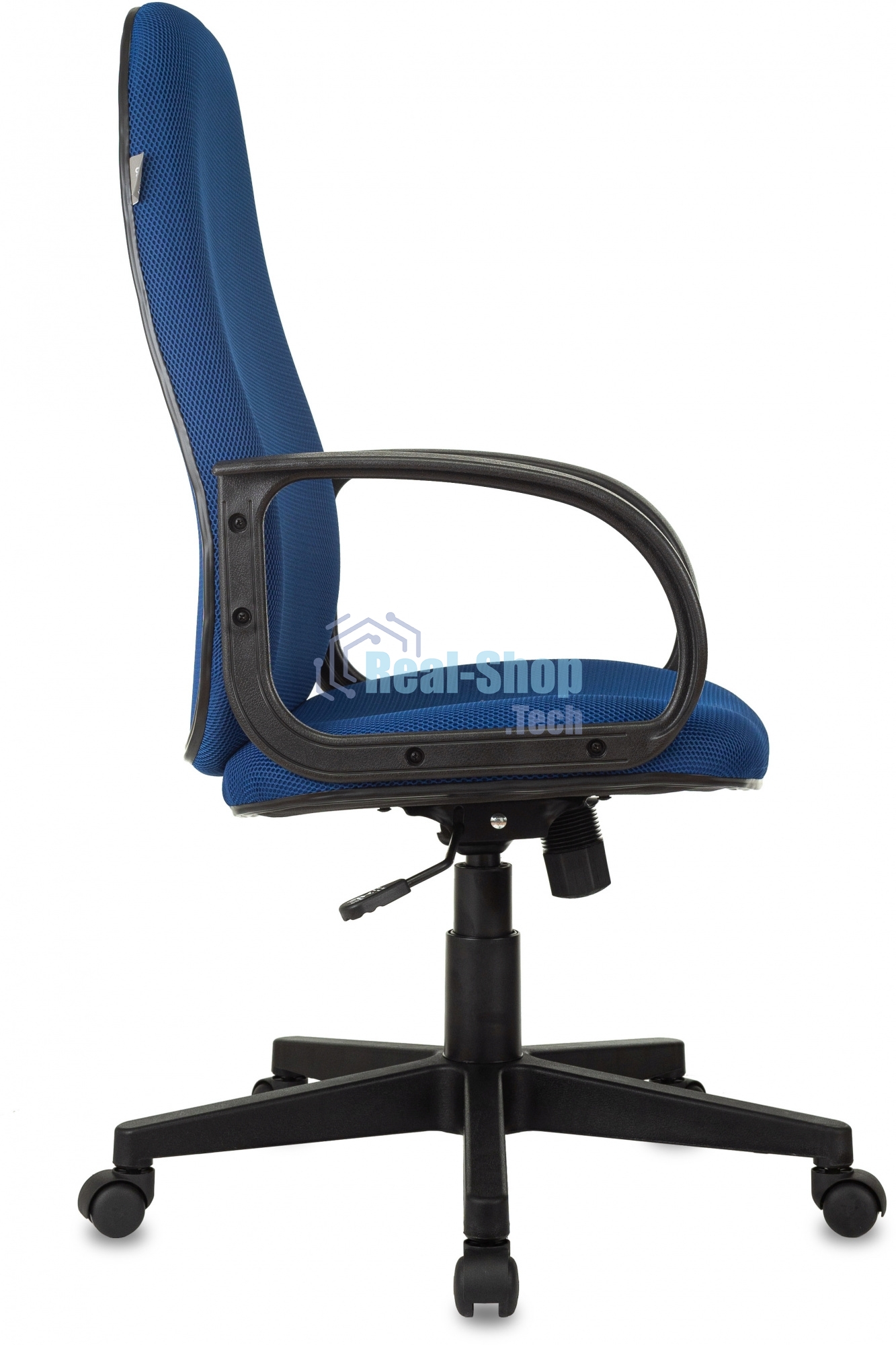 Кресло руководителя Бюрократ CH-808AXSN/TW-10 синий TW-10
