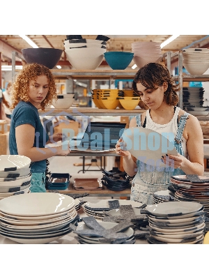 Ноутбук HP ProBook 440 G10 816N0EA Silver 14