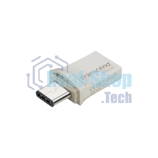 Флешка USB Transcend JetFlash 890S (TS128GJF890S), 128Gb, USB 3.1/Type-C, R/W 70/25, темно-серый