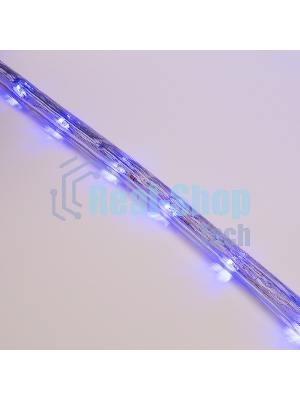 Дюралайт Neon-night LED, свечение с динамикой (3W) - синий, 24 LED/м, бухта 100м