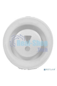 Портативная акустическая система JBL Charge 5 белая