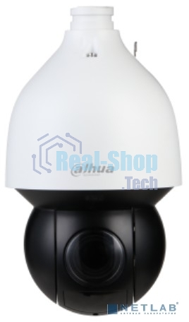 Уличная купольная PTZ IP-видеокамера Starlight с ИИ 4Мп Dahua DH-SD5A432Gb-HNR