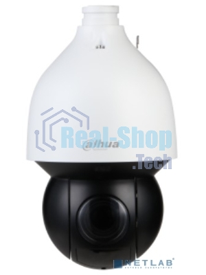 Уличная купольная PTZ IP-видеокамера Starlight с ИИ 4Мп Dahua DH-SD5A432Gb-HNR