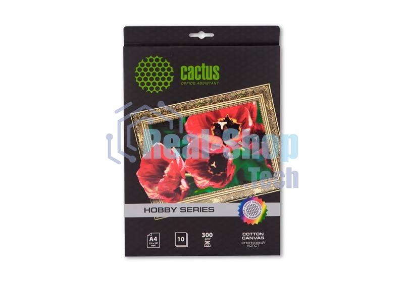 Холст Cactus CS-CA426010 A4/260г/м2/10л. для струйной печати