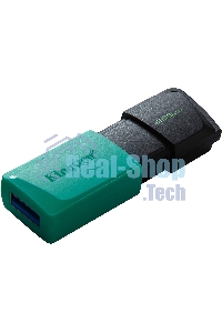 Флешка USB Kingston 256Gb DataTraveler DTXM DTXM/256Gb USB 3.2 черный/зеленый
