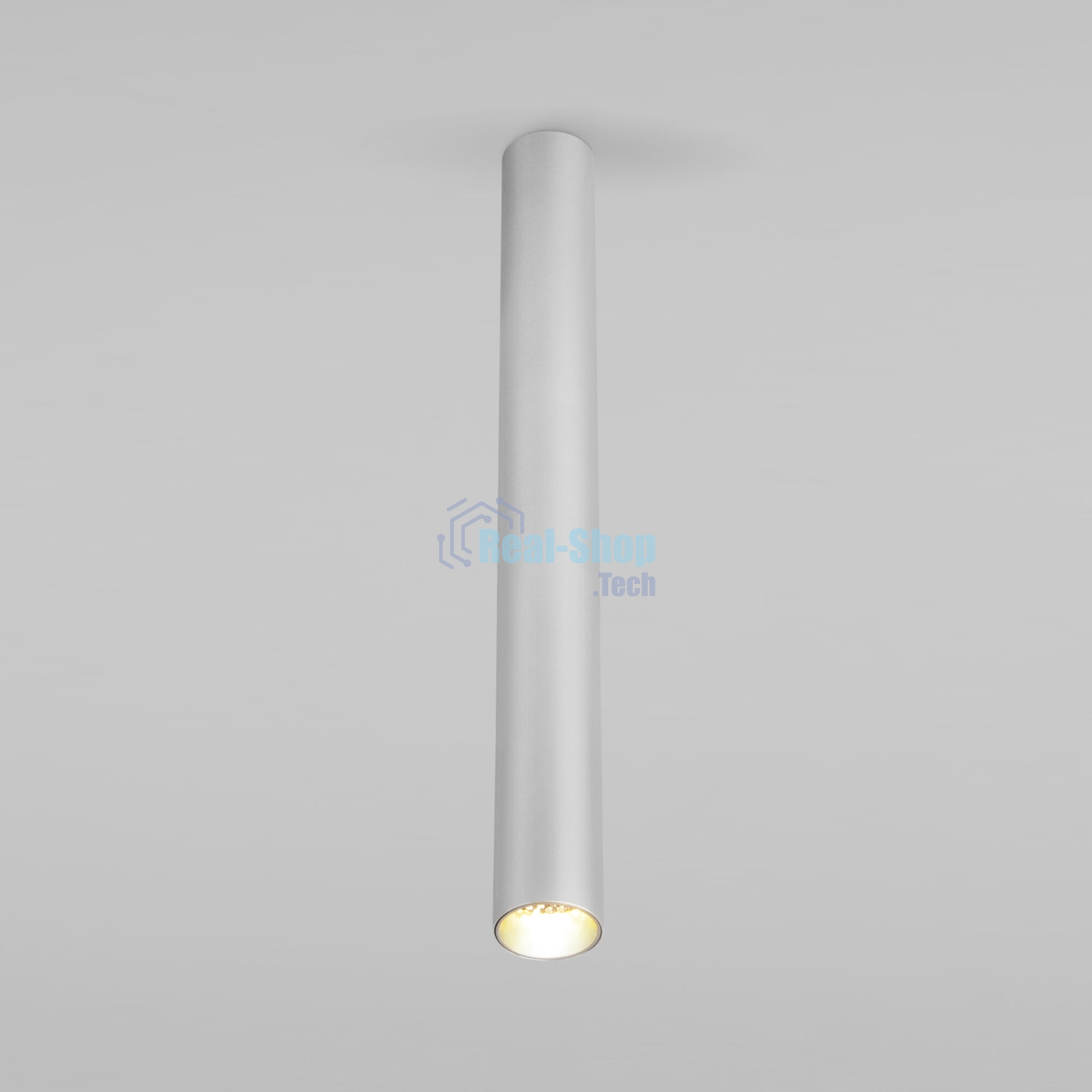 Pika 6W (25030/LED)/Светильник накладной серебро