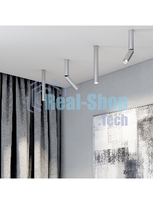 Pika 6W (25030/LED)/Светильник накладной серебро