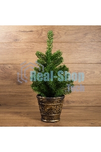 Елочка Neon-night 45 см в пластиковом горшке, Литая