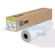 Холст Cactus CS-MC230-61030 24