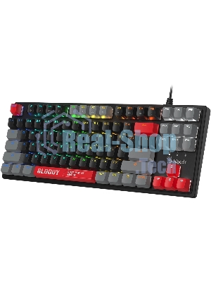 Клавиатура A4Tech S310N механическая черный/красный USB Multimedia for gamer LED кабель 1.8м