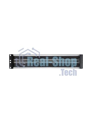 Серверный корпус ExeGate Pro EX284971RUS 2U450-09 (RM 19