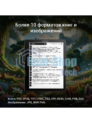 Электронная книга Digma F4 5.83