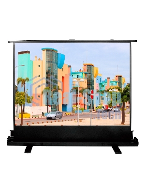 Экран Cactus 120x160 см FloorExpert CS-PSFLE-160X120 4:3 напольный рулонный