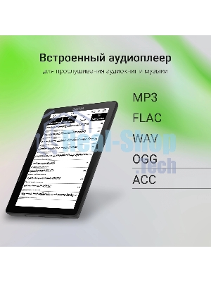 Электронная книга Digma F4 5.83