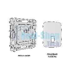 Комплект механизма компьютерной розетки RJ-45 экранированной с автоматической защитной шторкой OMEGA Антрацит серый QUANT (OP6620, VM185) MO662005