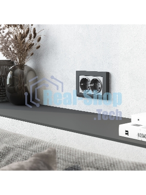 Розетка двойная с заземлением Werkel W1172065 (серебряный матовый)