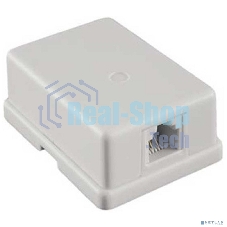 Розетка внешняя Exegate EX271122RUS RJ-45 кат.5/5E UTP Krone/110