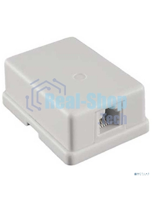 Розетка внешняя Exegate EX271122RUS RJ-45 кат.5/5E UTP Krone/110