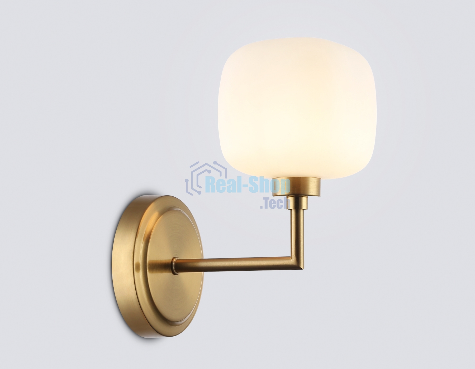 Настенный светильник Ambrella light LH53021 BS/FR латунь/белый матовый G9 max 40W 195*120*230