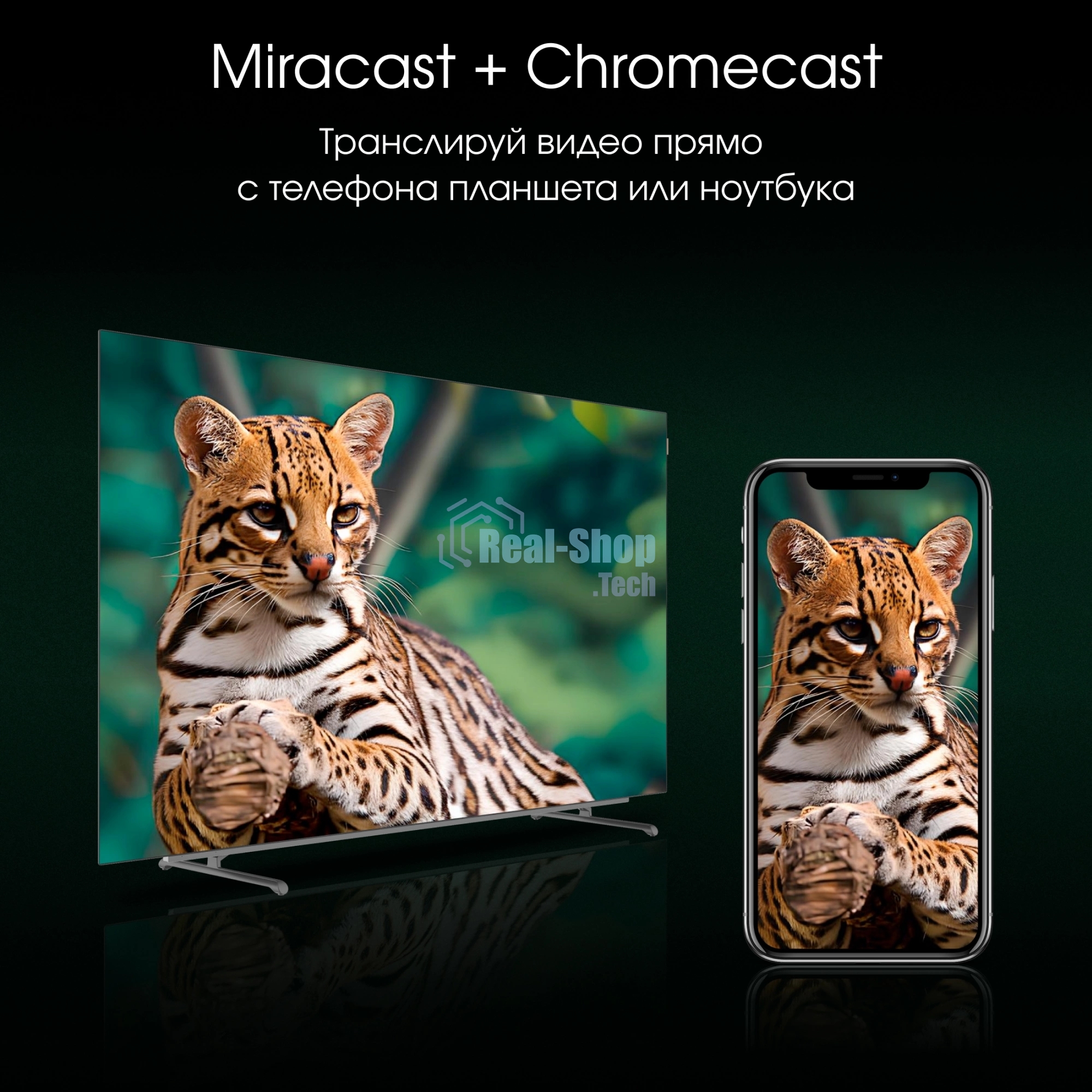 Телевизор Digma 55