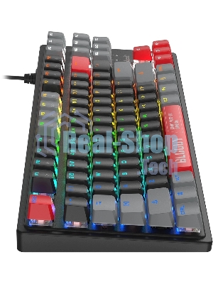 Клавиатура A4Tech S310N механическая черный/красный USB Multimedia for gamer LED кабель 1.8м