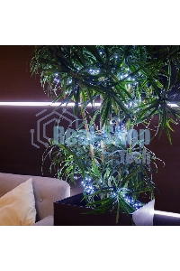 Гирлянда Neon-night 