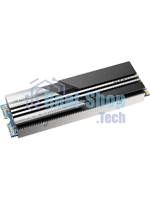 Накопитель SSD Netac NV5000, 1Tb, M.2 2280, PCIe 4.0 x4, NVMe, R/W 5000/4400, с радиатором
