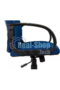 Кресло руководителя Бюрократ CH-808AXSN/TW-10 синий TW-10