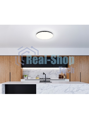 Умный светодиодный светильник FZ2004 BK черный IP54 20W 3000K-6500K+RGB Wi-Fi Алиса/Tuya/Smart Home/Alexa D300*55 (ПДУ ИК)