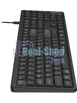 Клавиатура A4Tech FX55 черный USB slim Multimedia кабель 1.5м
