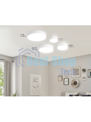 Потолочный светодиодный светильник Ambrella light FV5512 WH белый LED 15W 4200K D120*58 (Без ПДУ)